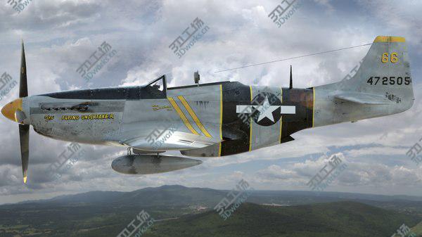 images/goods_img/20210312/P-51D - Mustang - The Flying Undertaker/4.jpg